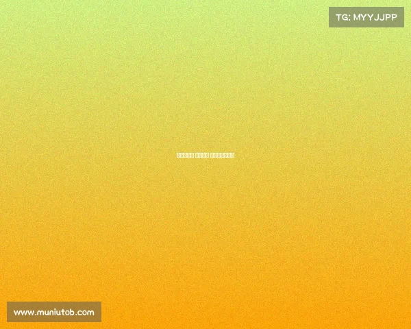 斯巴达赛事 上海价格 斯巴达国际赛事